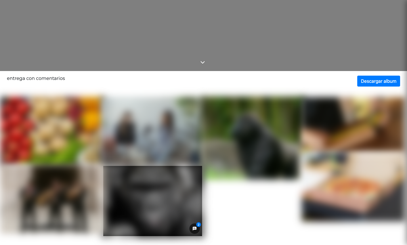 Galería de entrega digital