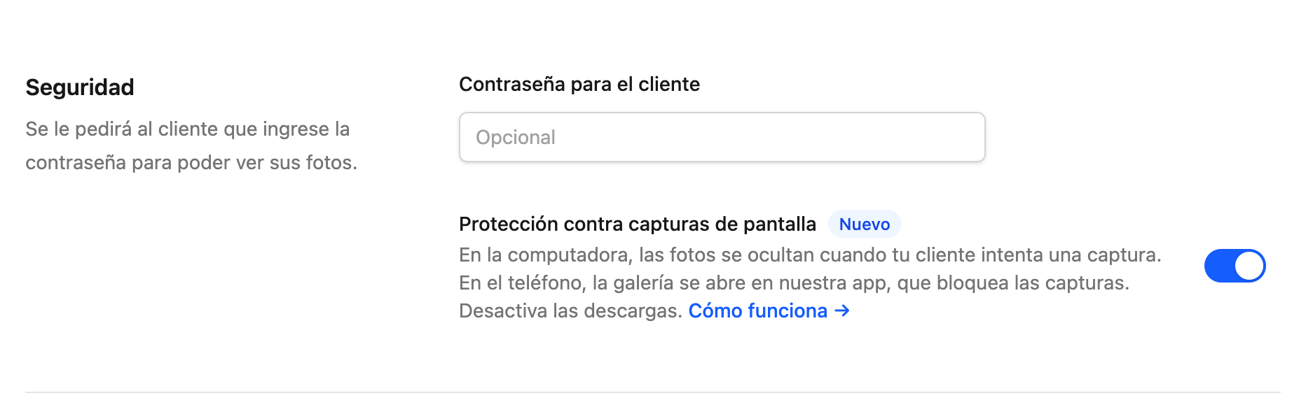 Opción Protección contra capturas de pantalla activada en la sección Seguridad del formulario de la galería