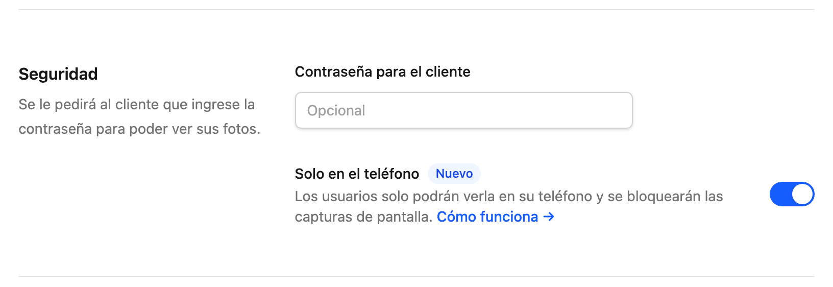 Opción Solo en el teléfono activada en la sección Seguridad del formulario de la galería