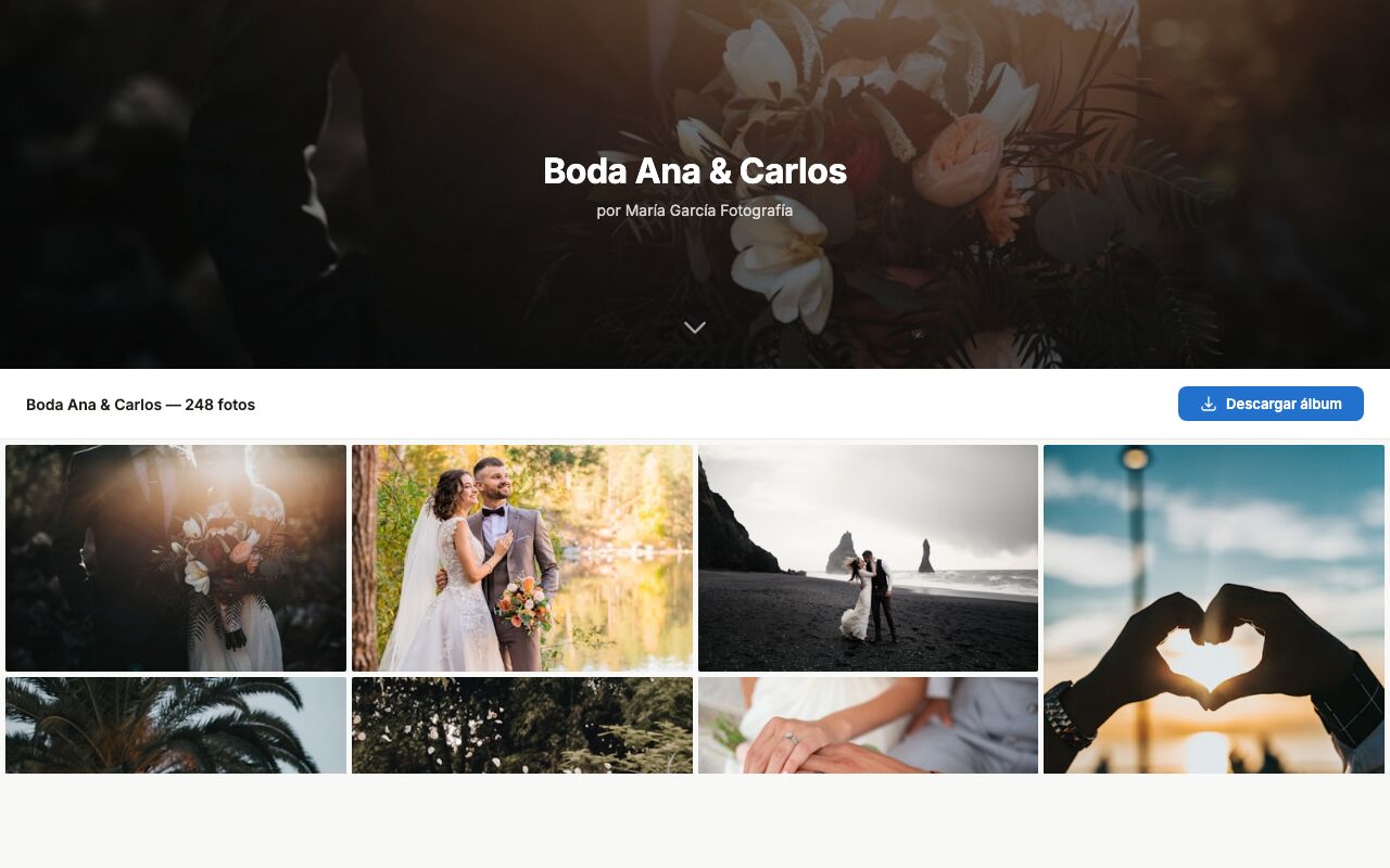 Galería de entrega con portada, nombre de la sesión y botón de descarga